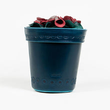 Maceta Crossbody Bag